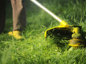 Grass Trimmer, Weed Whacker, Edge Trimmer